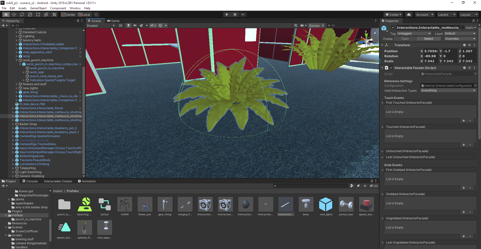 Matteucia Plant 2